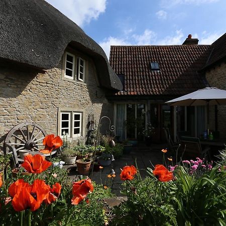 Thatch Cottage Lacock Bagian luar foto