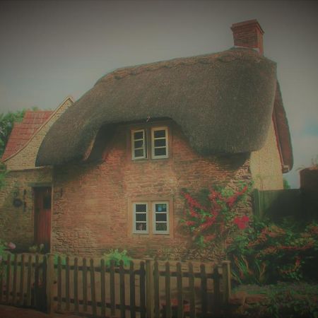 Thatch Cottage Lacock Bagian luar foto