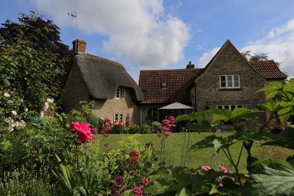 Thatch Cottage Lacock Bagian luar foto