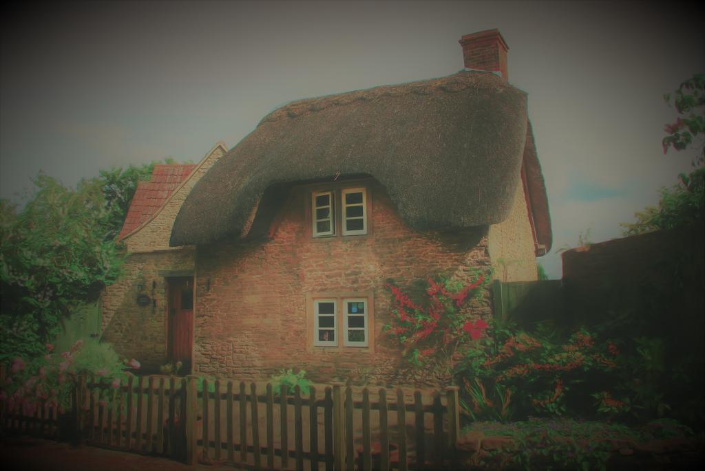 Thatch Cottage Lacock Bagian luar foto